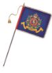 Picture of 42" x 36" ACF Contingent Banner (Consort) - Applique 2 1/4 inch Gold coloured silk fringe 