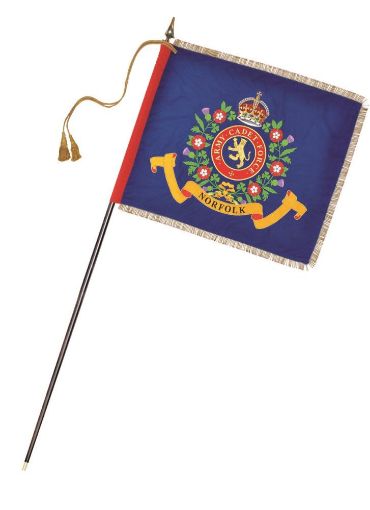 Picture of 42" x 36" ACF Contingent Banner (Consort) - Applique 2 1/4 inch Gold coloured silk fringe 