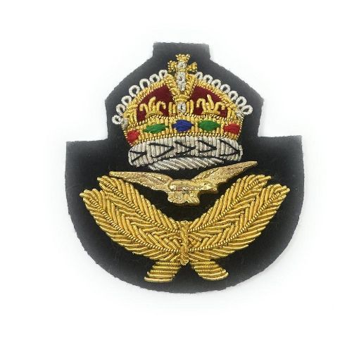 Picture of Beret Badge - RAF - Navy Backing - Tudor Crown
