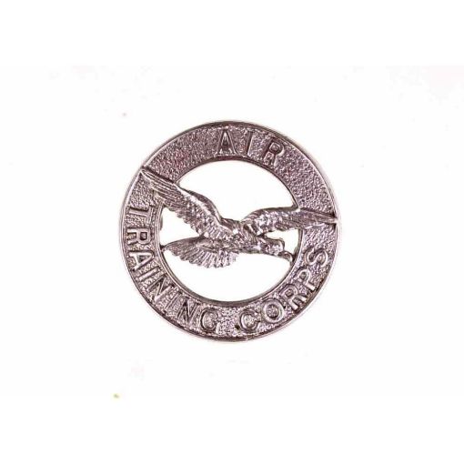 Picture of ATC Beret Badge Chrome - Shank & Pin Fitting - Space