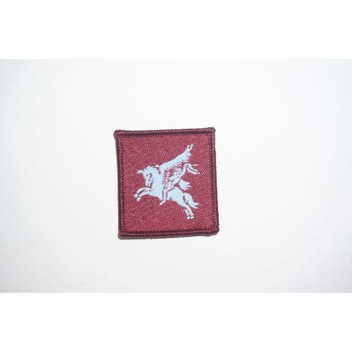 Picture of Pegasus L/F TRF - Sky Blue on Maroon - Pack of 5