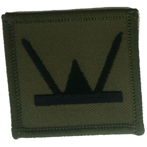 Picture of TRF - 160th Infantry Brigade and HQ Welsh - Subdued - Pack of 5