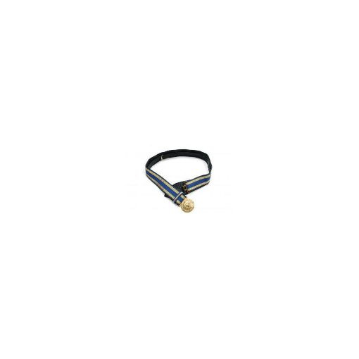 Picture of Royal Air Force Blue and Gold Sword Belt & Slings for  Officers below Air Rank. NSN 8440 99 137 7226  1000mm to 1150mm