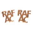 Picture of Letter RAFAC Pin Badges - Gold Plated - Spike & Clutch Fitting