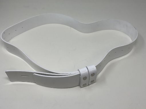 Picture of Paradebelt - White Gloss - Tongue & Loops 33 - 38" Med