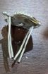 Picture of Rank Crowns for No1 Dress Shoulder Cords 3/4" - Pairs