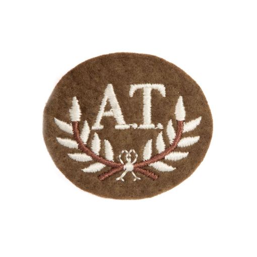 Picture of No2 Dress - Trade Badge - AT (Anti-Tank) 
