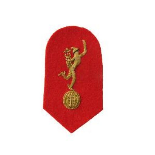 Picture of Mess Dress - Qualification Badge - Jimmy - Gold on Scarlet